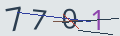 verifycode